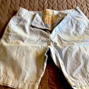 Light Blue Casual Shorts